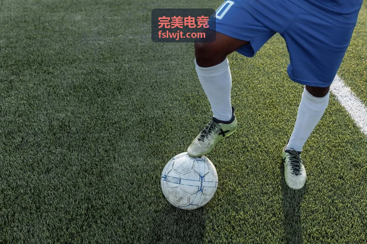 完美电竞合作战队封面