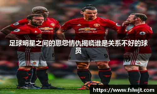 星空·综合体育官方网站